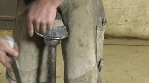 A craftsman farrier replace horseshoes Video stock 62478840