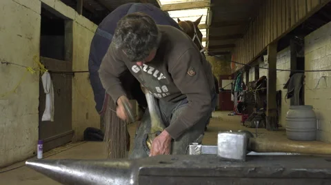 A craftsman farrier replace horseshoes Stock-Footage 62478885