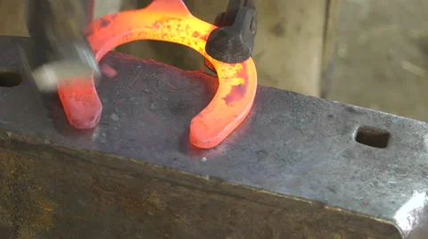 A craftsman farrier replace horseshoes Video stock 62478904