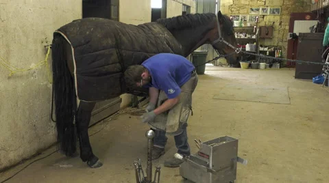 A craftsman farrier replace horseshoes Video stock 62478909