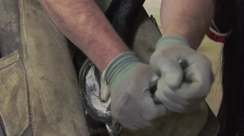 A craftsman farrier replace horseshoes Video stock 62478946