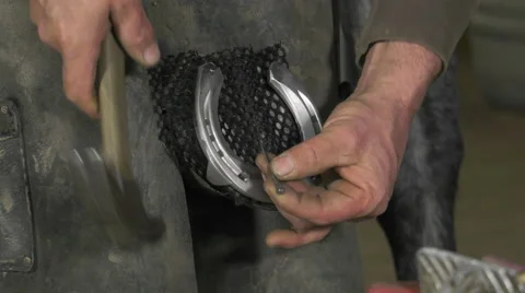 A craftsman farrier replace horseshoes Stock Footage 62478948