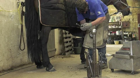 A craftsman farrier replace horseshoes Video stock 62479045