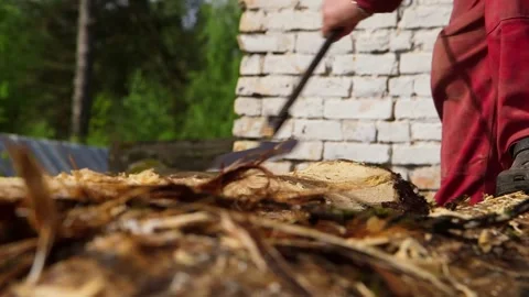 Craftsman Removes Tree Bark with a Bark Spud. Stock Footage 306400997
