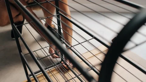 Craftsman skilled person assembling metal shelf use screwdriver efficient Stock Footage 233470143