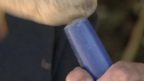 Craftsperson Carving a Piece of Marble Using a Chisel and A Bone. Close Up.   Video stock 251397927