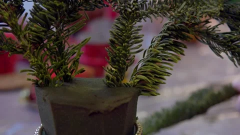 Craftsperson uses branches and sponge to make nice Christmas wreath. sponge Stock Footage 316071501