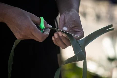 Craftsperson Using Green Handle Scissors to Trim Excess Leaf Edge During Co.. Photos