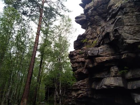 Crag in the forest Stock Photos