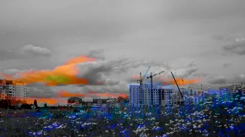 Craines in the field_mixing up Stock-Footage 51248081