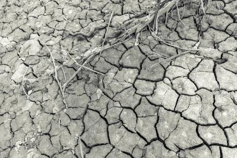 Craked Earth. Stock Photos