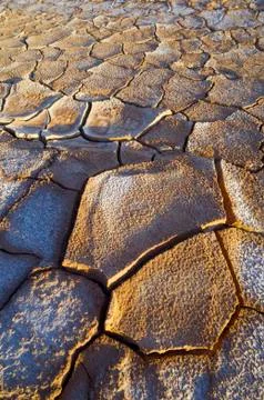 Craked mud 스톡 사진