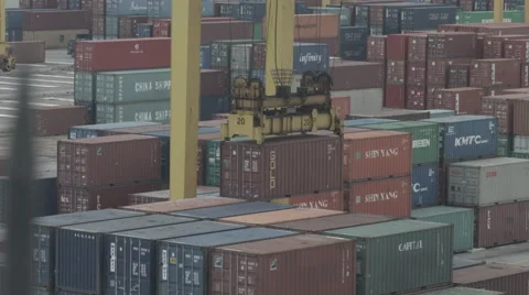 Cran Fragment With Container Stock Footage 64275833