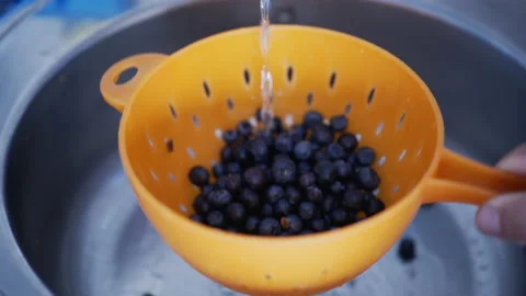 Cranberries being washed on a strainer under the sink Stock Footage 211060555