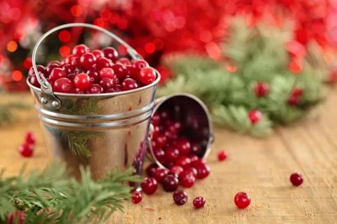Cranberries in buckets. Stock Photos