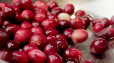 Cranberries falling into dish 스톡 동영상 12721321