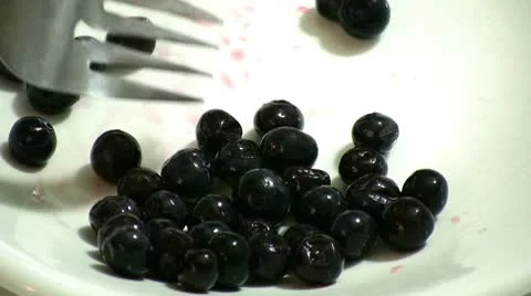 Cranberries Video stock 8838337