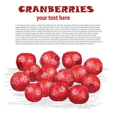 Cranberries Stock Illustration