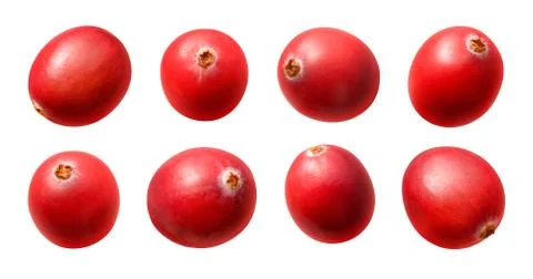 Cranberries isolated Stock Photos