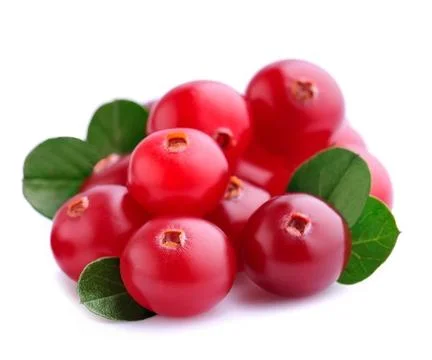 Cranberries with leafs close up on white backgrounds. Foto stock