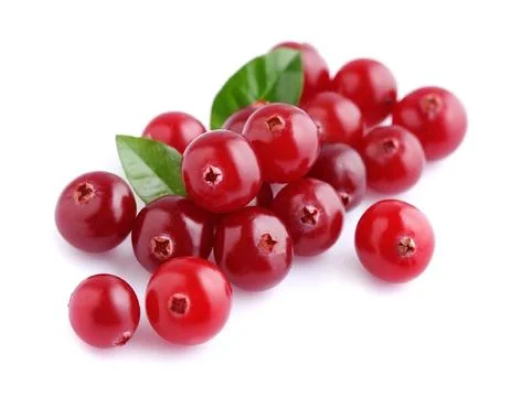 Cranberries with leafs close up on white backgrounds. Foto stock