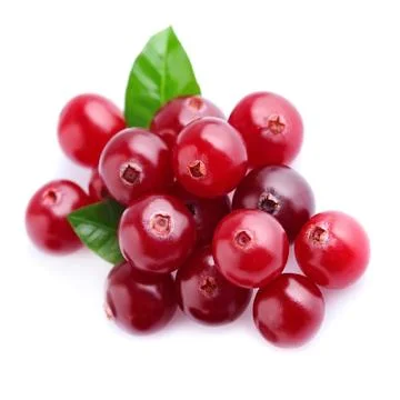 Cranberries with leafs close up on white backgrounds. Stock Photos