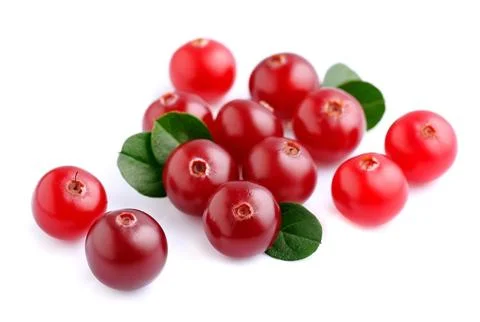 Cranberries with leafs . Stock Photos