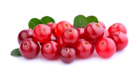 Cranberries with leafs. Stock Photos