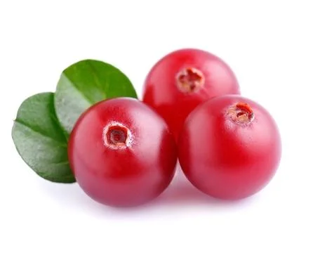 Cranberries with leafs . Stock Photos