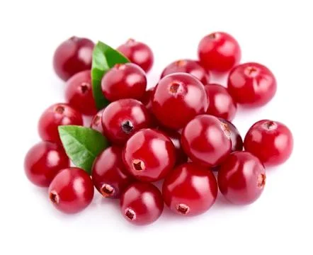 Cranberries with leafs . Stock Photos