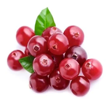 Cranberries with leafs . Stock Photos