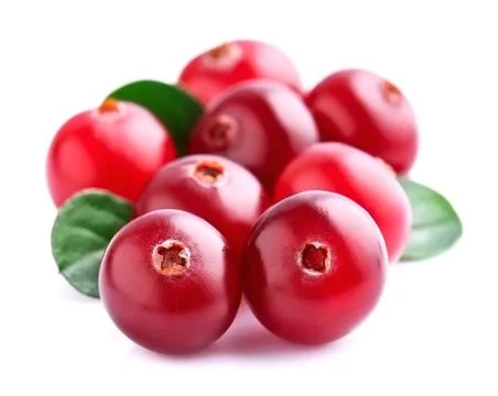 Cranberries with leafs. Stock Photos