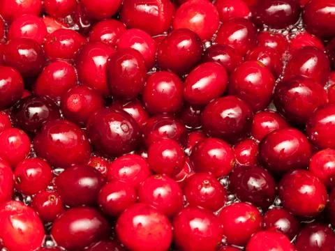 Cranberries Stock Photos