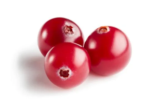 Cranberries Stock Photos