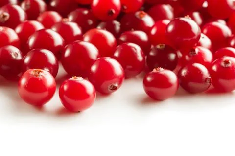Cranberries Stock Photos