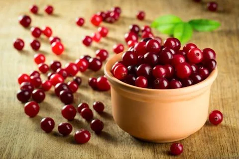 Cranberries Stock Photos