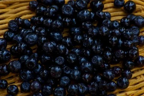 Cranberries Stock Photos