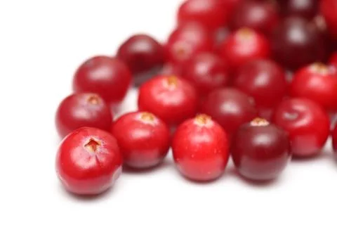 Cranberries Stock Photos