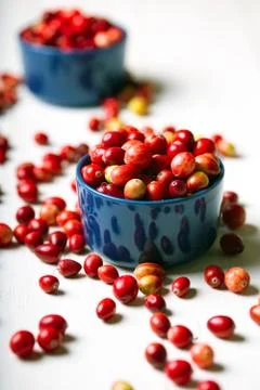 Cranberries Foto stock