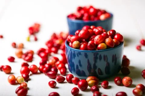 Cranberries Stock Photos