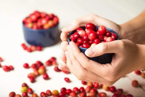 Cranberries Stock Photos