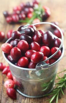 Cranberries Foto stock