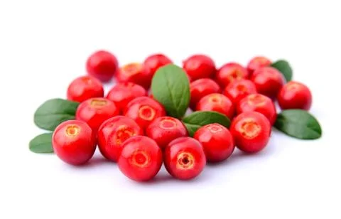 Cranberries Stock Photos