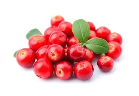 Cranberries Stock Photos