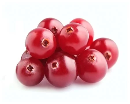 Cranberries. Stock Photos