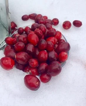 Cranberries on snow Foto stock
