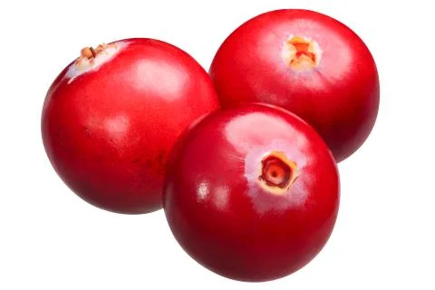 Cranberries v. oxycoccus, paths Stock Photos