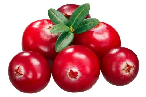 Cranberries v. oxycoccus pile, paths Foto stock