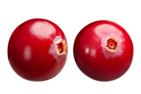 Cranberries v. oxycoccus singles, paths Stock Photos