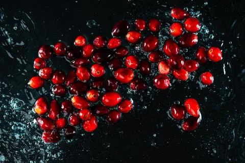 Cranberries Water Splash Stock Photos
